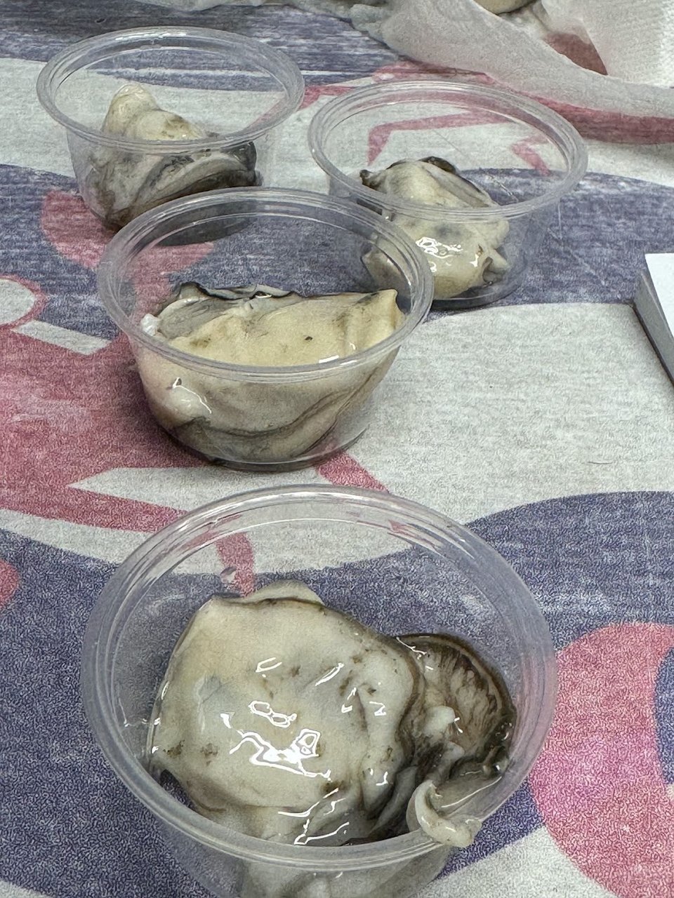 Smoked Oysters